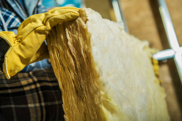 Best Insulation Removal Services  in Quakertown, PA